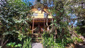 Chalet Ecológico Pantoja